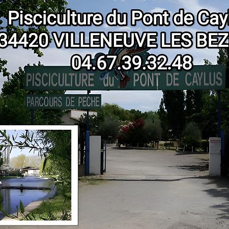 Tiny House 3 Personnes Soeursgrises Beziers Centre Historique Coeur De L'Herault Capitale D'Occitanie エクステリア 写真