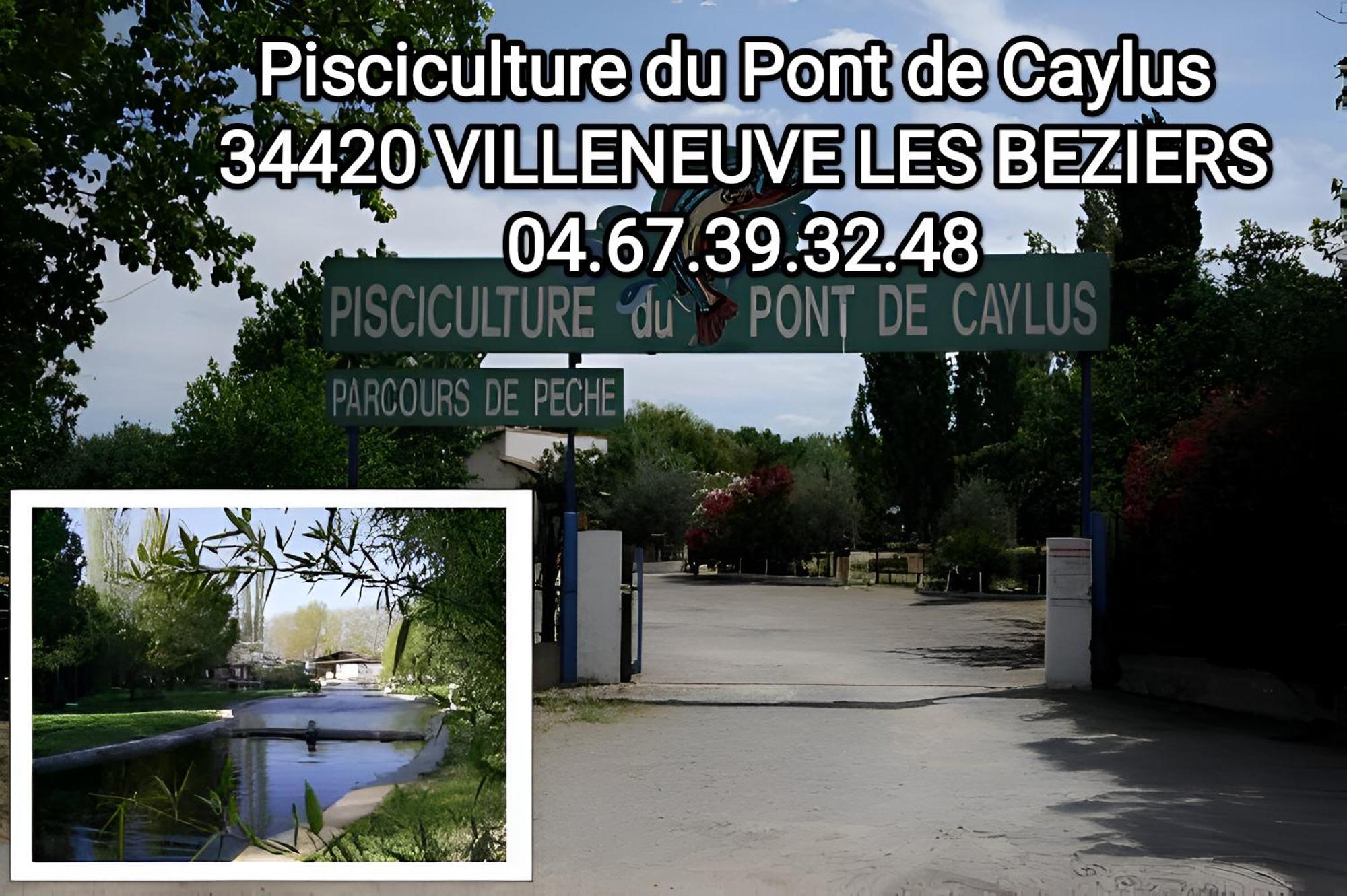 Tiny House 3 Personnes Soeursgrises Beziers Centre Historique Coeur De L'Herault Capitale D'Occitanie エクステリア 写真